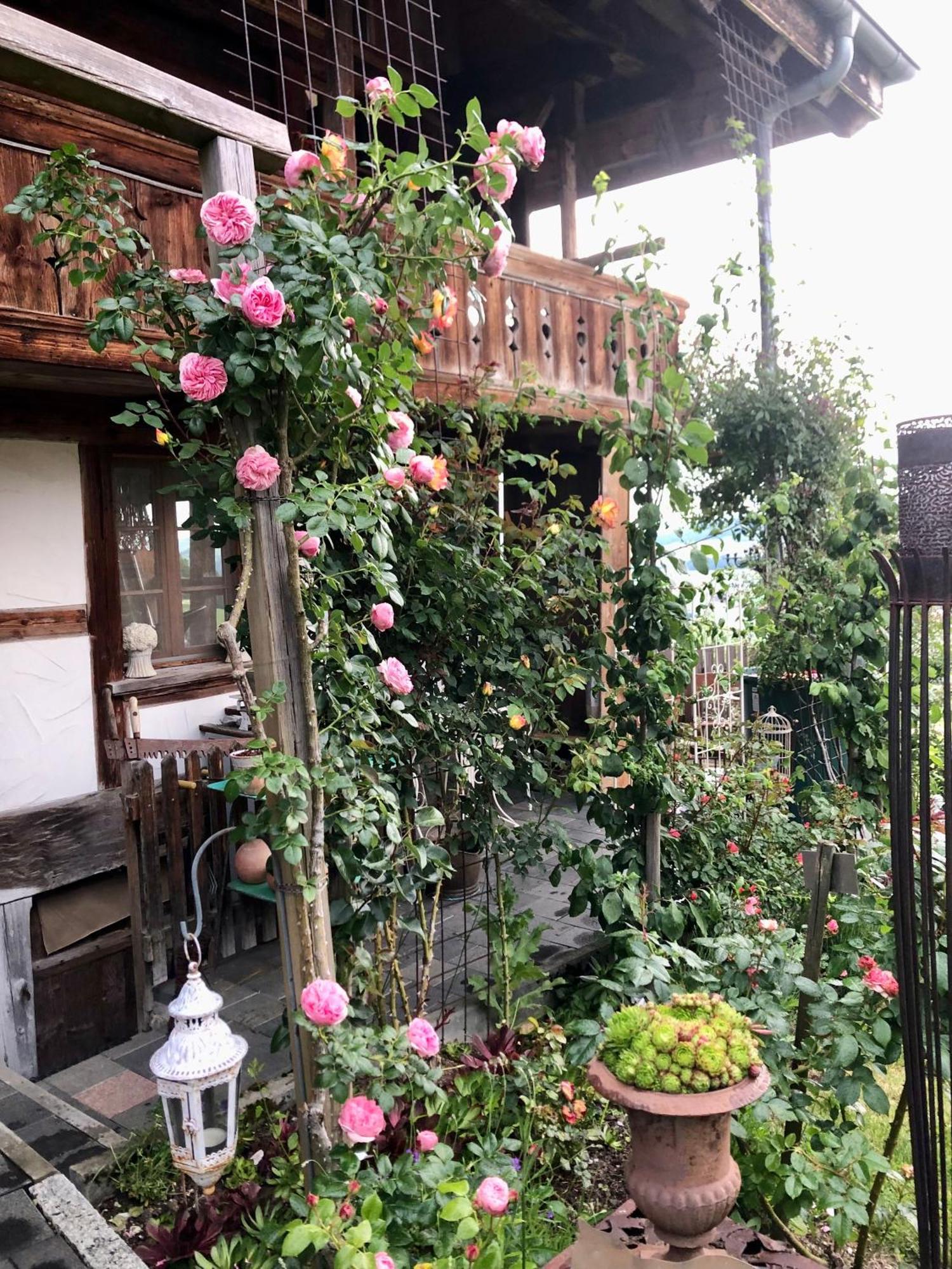 Rosenhuesli Apartman Gerzensee Kültér fotó